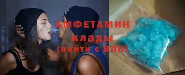 гашик Дубна