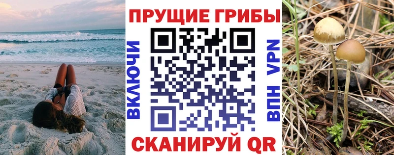 купить наркотик  Игарка  Галлюциногенные грибы GOLDEN TEACHER 